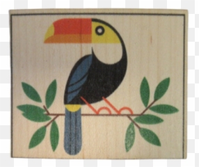 Toucan - Picture Frame Png,Toucan Png