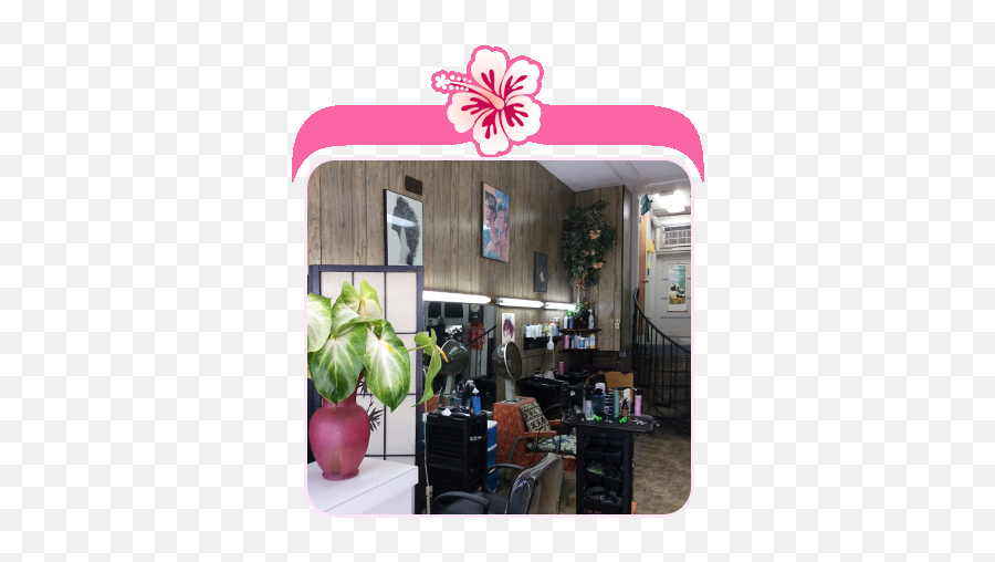 New Image - Unisex Beauty Salon Hilo Hi Flowerpot Png,Salon Png