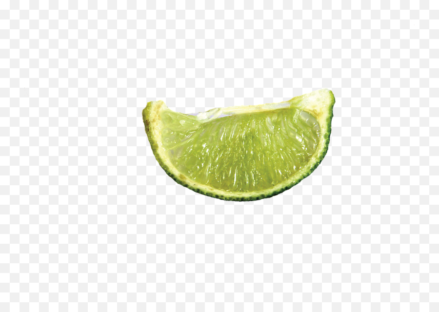 100 Free Lime Slices U0026 Images - Pixabay Lime Slice Png,Lemon Transparent Background