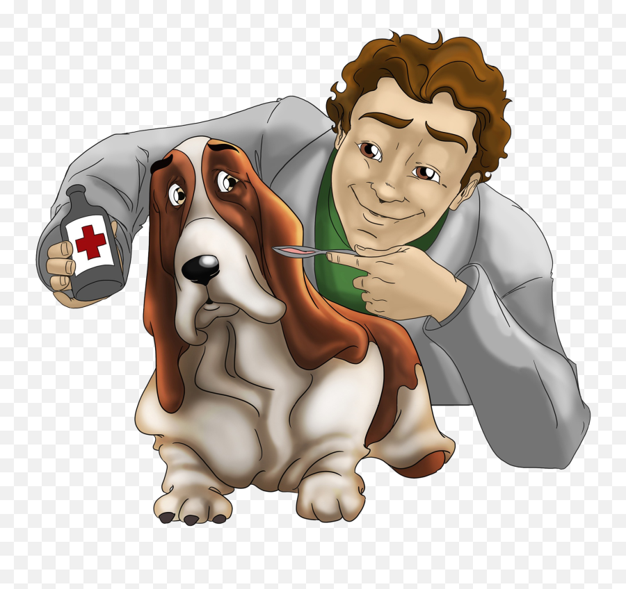 Clipart Images Vet Transparent - World Veterinary Day 2020 Date Png,Veterinarian Png