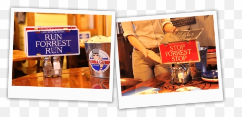 About - Run Forrest Placa png