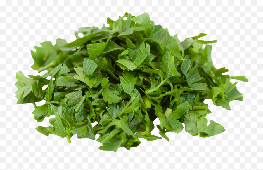 Plante Aromatique Gout Reglisse - Parsley Png,Parsley Png