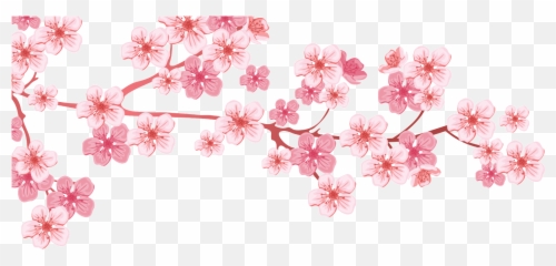 Cherry Blossom Branch Tree Almond Png