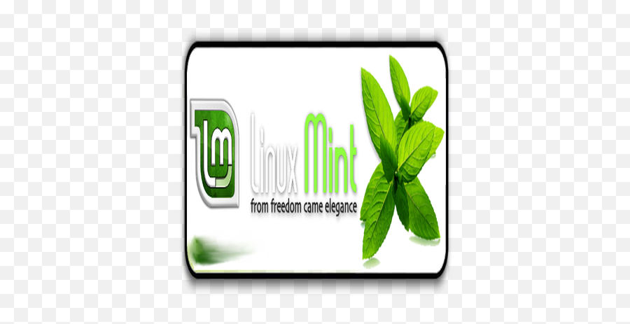 Linux Mint Logo - Opendesktoporg Vertical Png,Linux Mint Logo