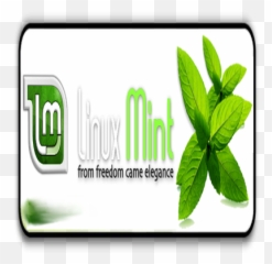 Linux Mint Logo - OpenDesktoporg Vertical png