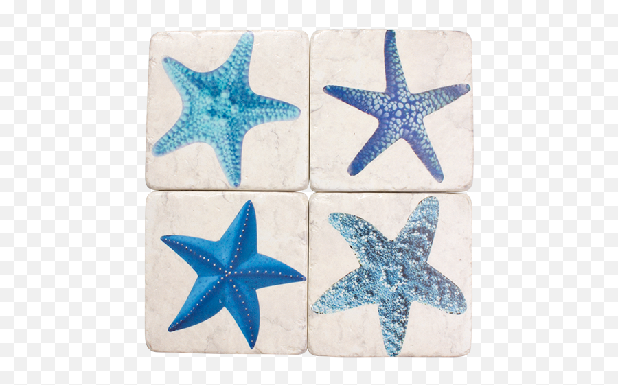 Coasters Set 4 - U0027starfishu0027 Starfish Png,Starfish Transparent