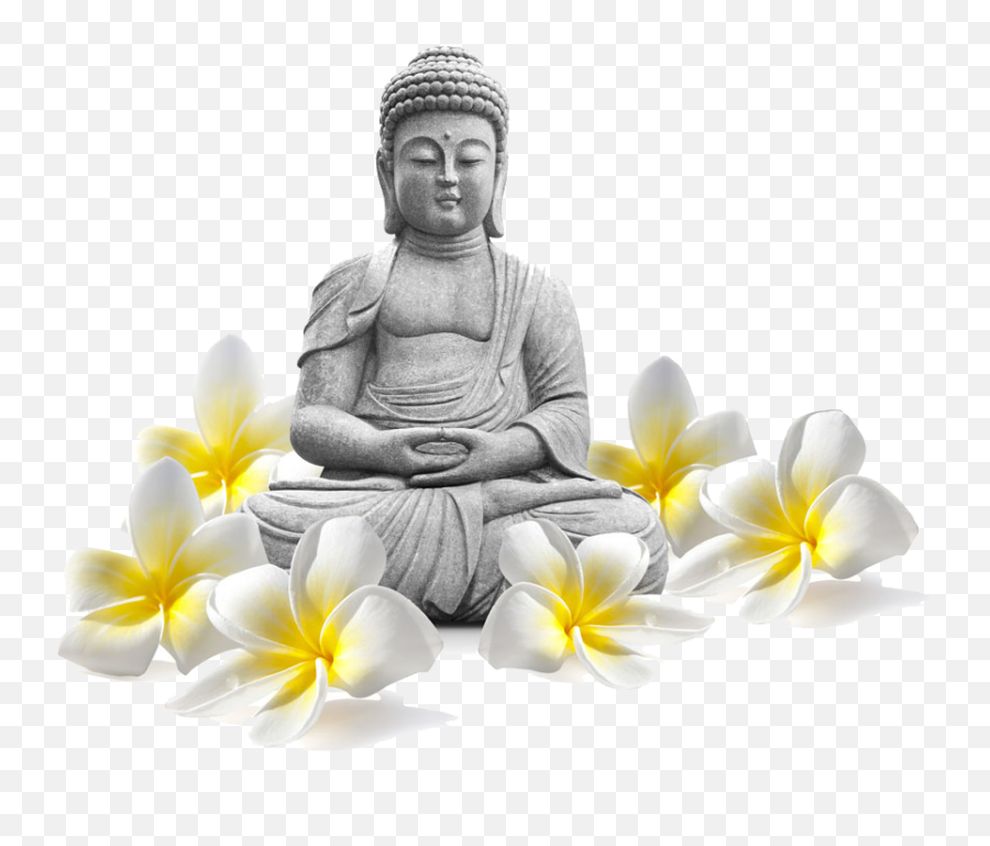 Buddha Png - Best Buddha Images Hd,Buddha Icon