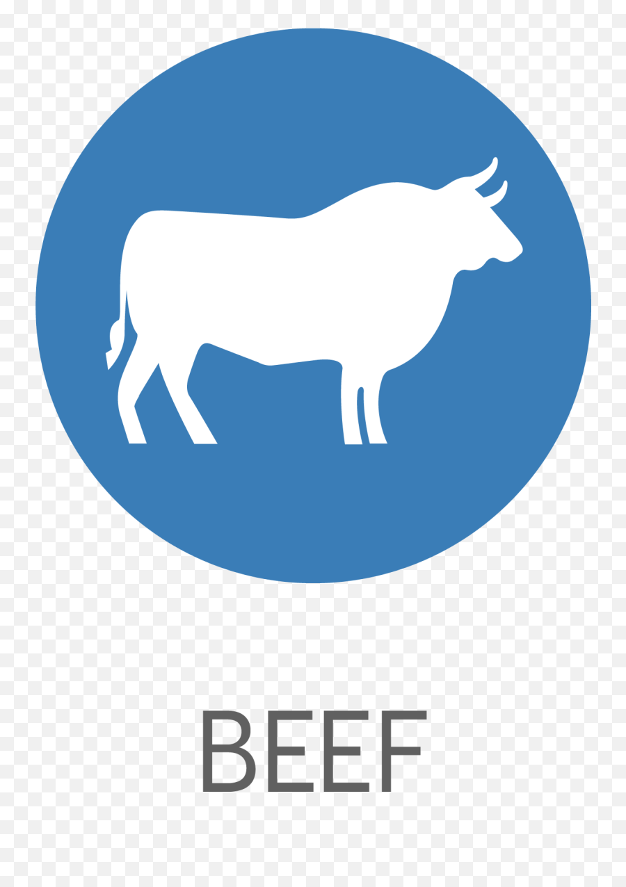 Customized Nutrition - Solidgold Language Png,Cow Head Icon