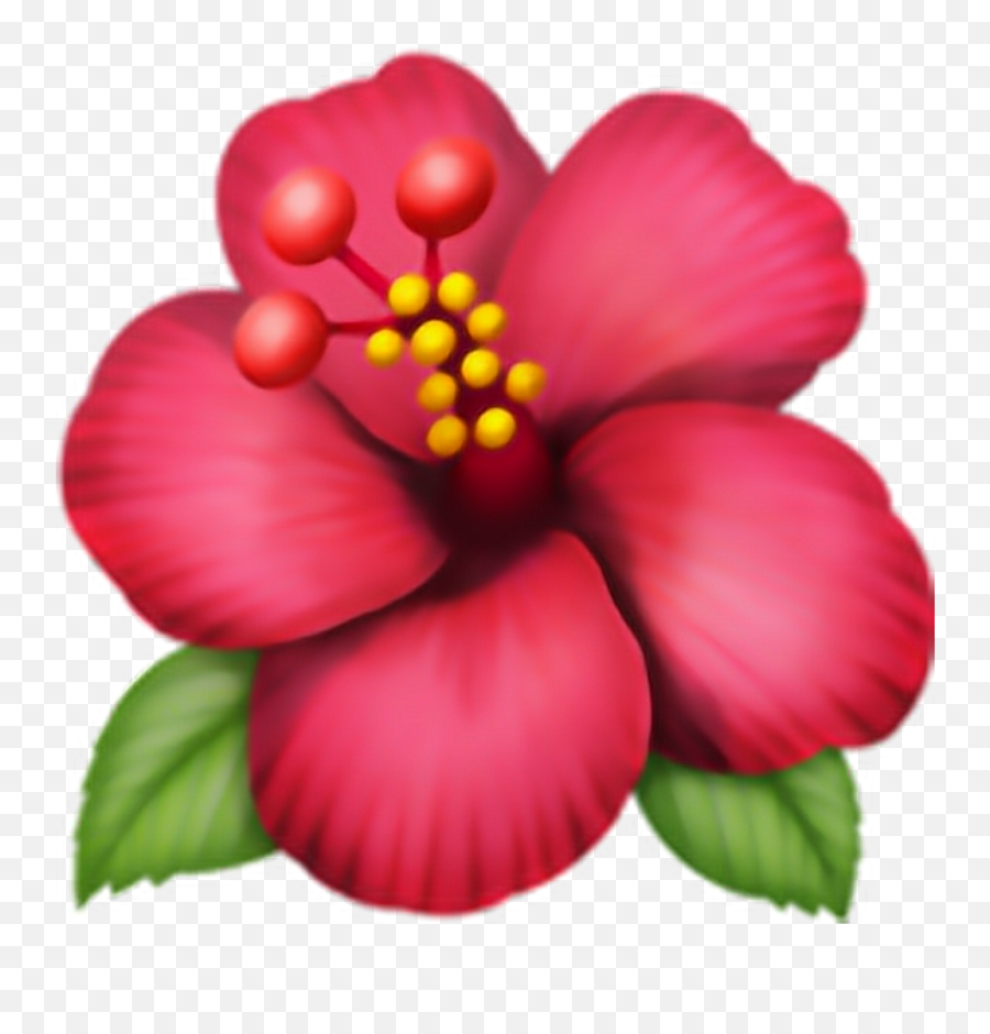 Download Emoji Flor Png Pngs Adesivo Flower Clip Art - Hibiscus Flower Emoji,Emoji Pngs