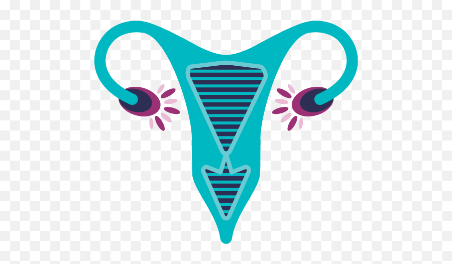 Specialist Care U2014 Wa Gynaescope Gynaecologists Fertility - Gynaecology Png,Obs Icon Png