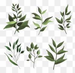Tags - Greenery Transparent Image For Free Download Starpng Plants,Greenery Png