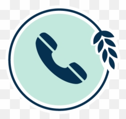 Services - Sea Oats Animal Hospital Icone De Telefone Vermelho Png,Samsung Icon Meanings