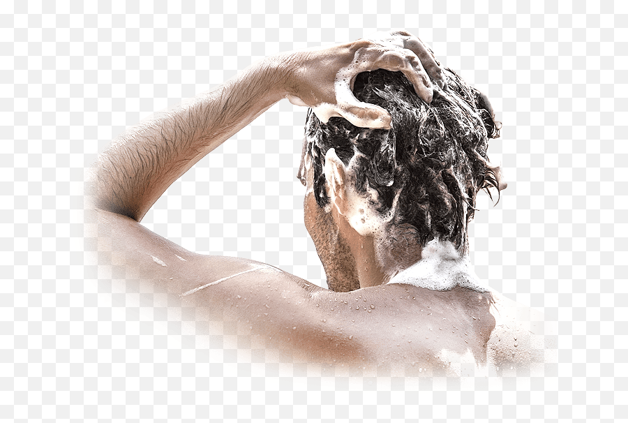 Hair Fibers Organic Loss Products - Shampoo Png,Men Hair Png