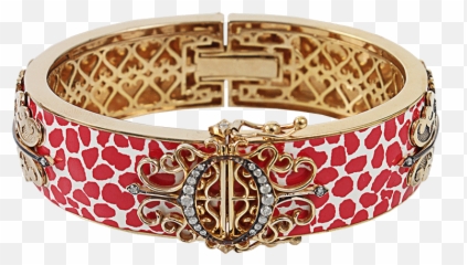 Red Speckled Enamel Icon Bangle Bangles - Solid png