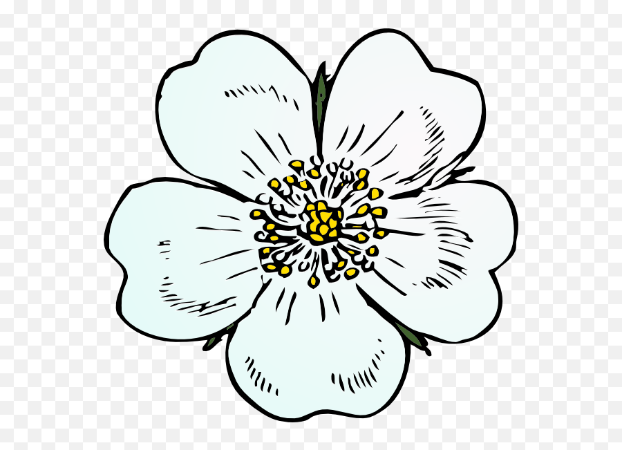 How To Set Use White Rose Icon Png - Draw A Apple Blossom Easy Wild Rose Drawing,Rose Flower Icon