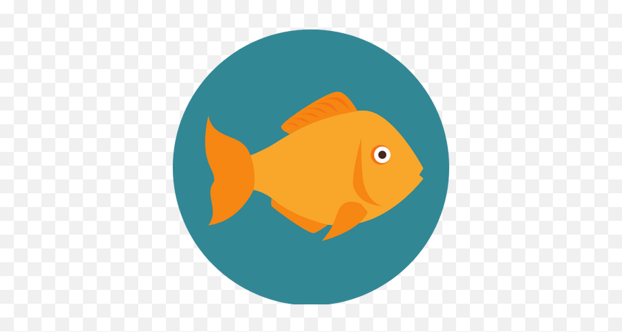 Collections U2013 Fish Nu0027 Chix - Goldfish Png,Goldfish Icon