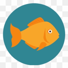 Collections U2013 Fish Nu0027 Chix - Goldfish Png,Goldfish Icon