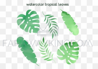 Watercolor Tropical Leaf Summer Vector Illustration Set - png