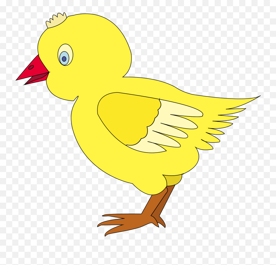 Yellow - Chick Download Free Clip Art Images U0026 Graphics Chicks Clipart Png,Chick Png