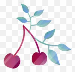 Cherries With Leaves - Transparent Png U0026 Svg Vector File Illustration,Cherries Png