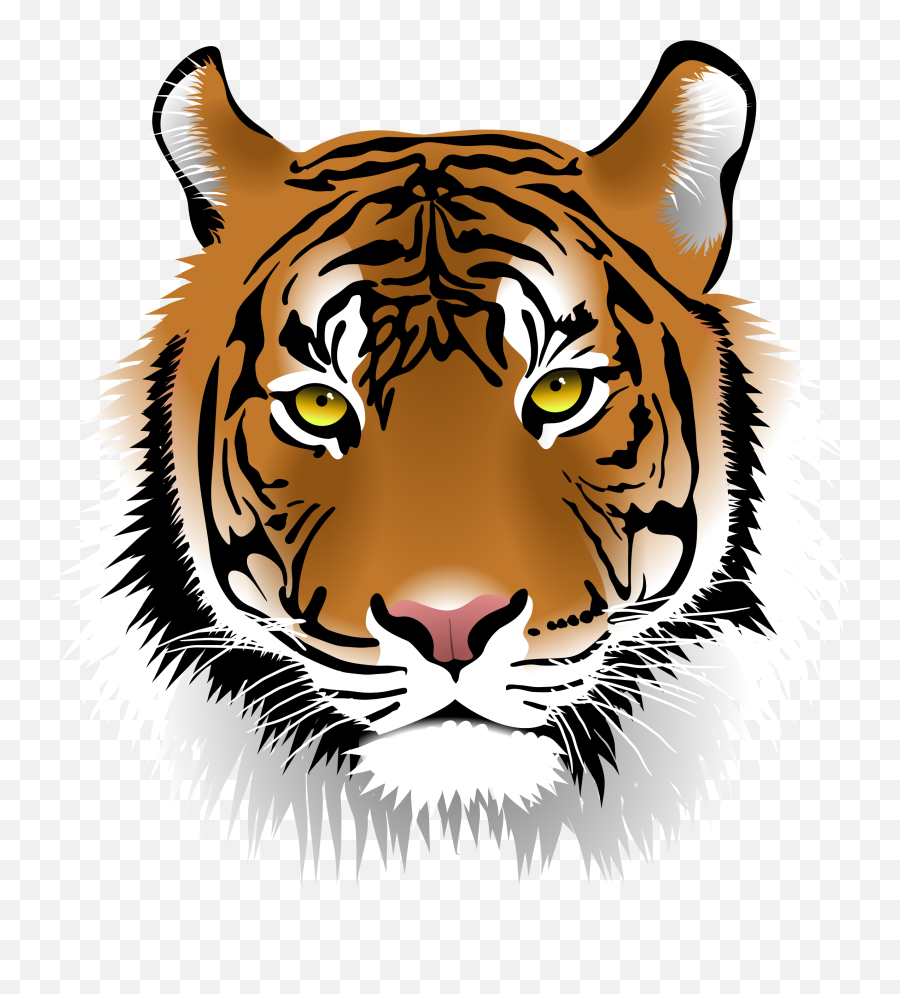 Tiger Face Png Mart - Transparent Tiger Head Clipart,Face Png