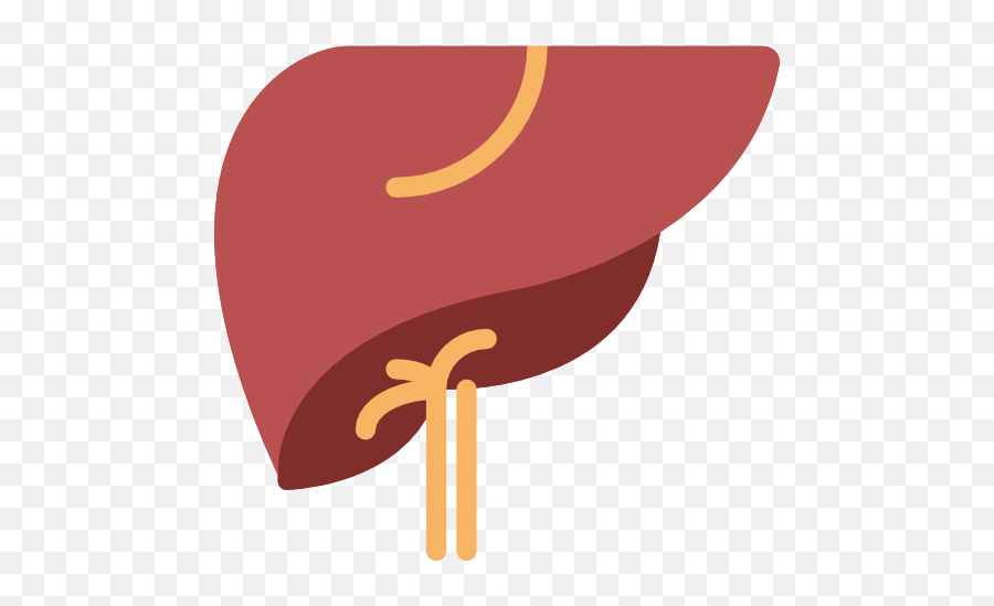 Liver Png Icon - Liver Icon Png,Liver Png