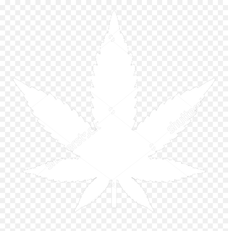 Medical Marijuana Could Solve - White Cannabis Leaf Vector Png,Marijuana Png