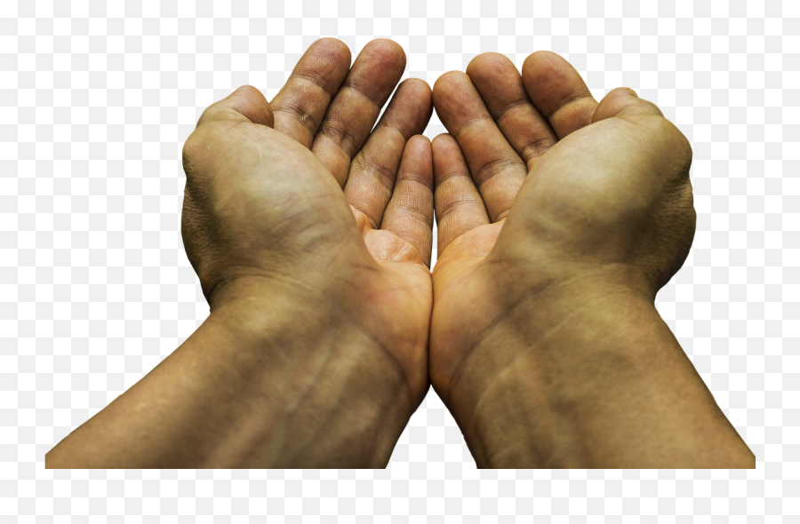 I Donu0027t Need Your Fu0026 Pity - Begging Hand Png,Hahaha Png