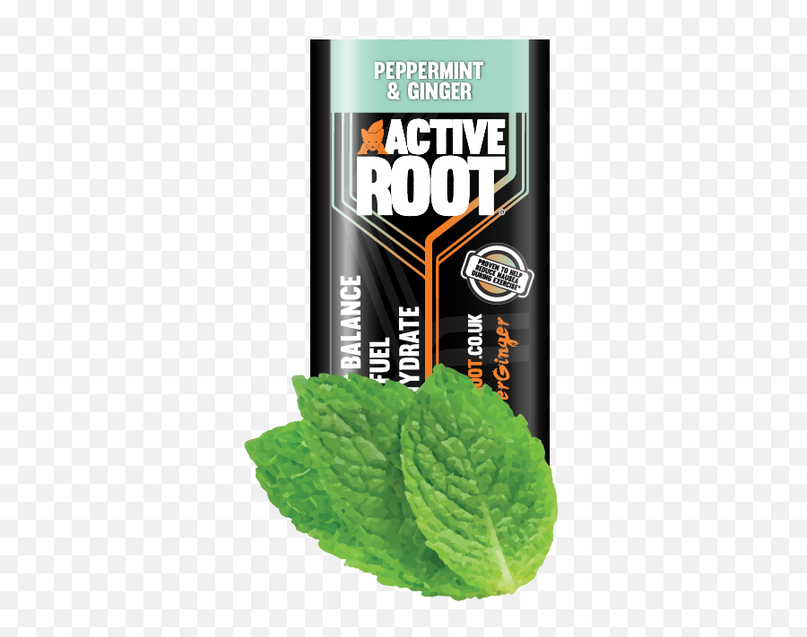 Active Root - Drink Png,Mint Transparent