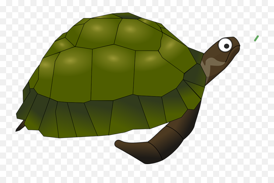 Download Forest Clipart Turtle - Sea Turtle Clip Art Png Sea Turtle Clip Art,Forest Clipart Png