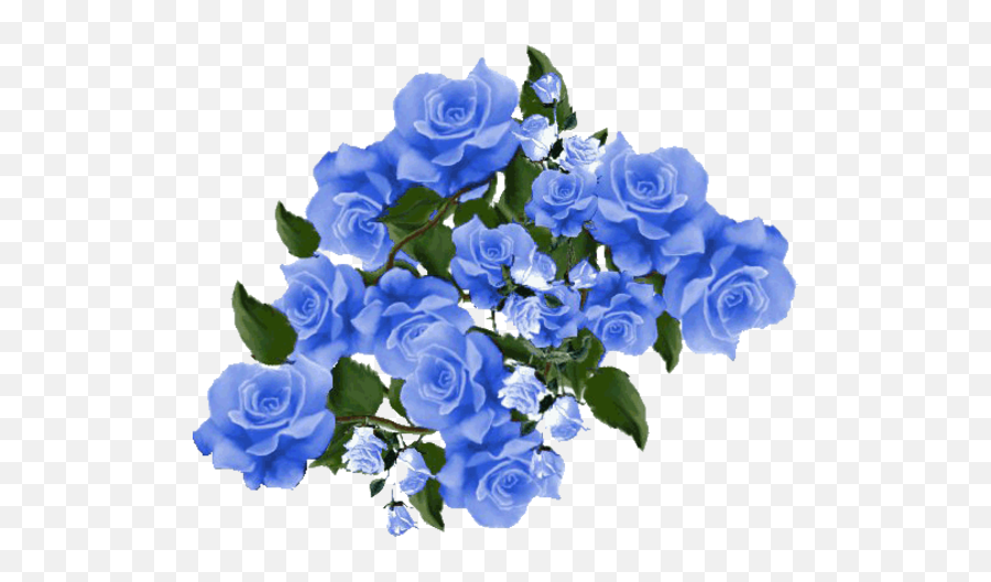Blaue Blume Gif Transparent Png Image - Assalam O Alaikum Images In Urdu,Blue Rose Png