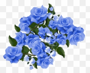 Blaue Blume Gif Transparent Png Image - Assalam O Alaikum Images In Urdu,Blue Rose Png