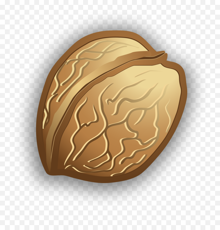 Walnut - Portable Network Graphics Png,Walnut Png Walnut - Portable Network Graphics Png,Walnut Png