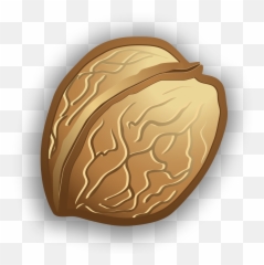 Walnut - Portable Network Graphics Png,Walnut Png