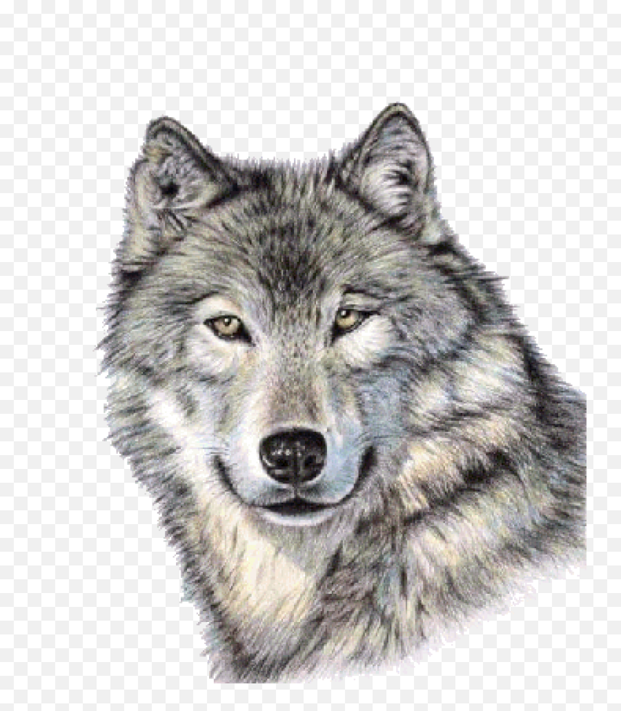 Download Cute Wolf Face Png Image For Free - Transparent Wolf Face Png,Cute Face Png