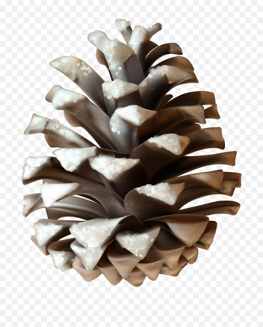 Winter Pinecone Png Clip Art Image - Winter Pine Cones Clip Art,Pine Cone Png