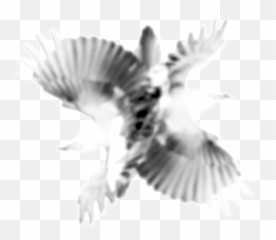 Nb Studios Inc Png Crow Logo