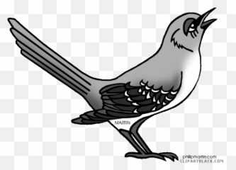 Download Mockingbird Clipart Black And - Mockingbird Clipart Black And White Png,Mockingbird Png