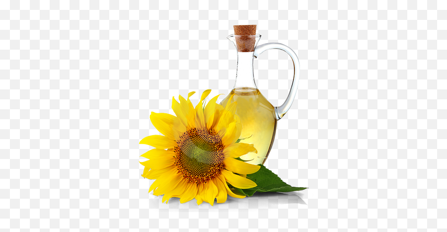 Oil - Vitamin E Lotion Sunflower Oil Png,Sunflower Transparent Background