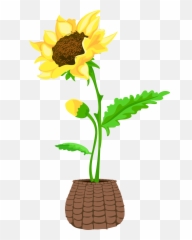 Acuarela Png - Bonsái Girasol Flor Viento Dibujado A Mano Vector Girasoles Png,Girasol Png