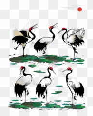 Boutique Chinese Feng Shui Ink Crane Red - Crowned Crane Lotus V Su U Png,Crane Bird Png