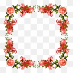 Picture Frames Poinsettia Clip Art Portable Network Graphics - Corner Vintage Flowers Png,Poinsettia Transparent Background