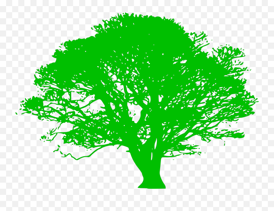 Green Tree Branch Png Svg Clip Art For Web - Download Clip Tree Silhouette,Christmas Tree Branch Png