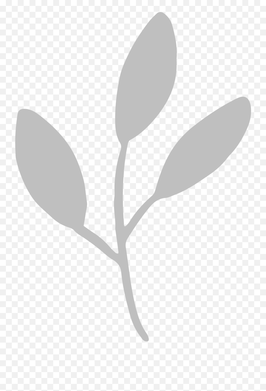 About The Floral Collection - Twig Png,Location Icon Grey
