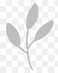 About The Floral Collection - Twig png