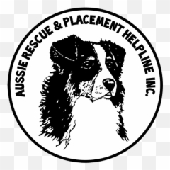 Aussie Rescue Placement Helpline - Philippine Obstetrical And Gynecological Society Logo Png,Australian Shepherd Icon