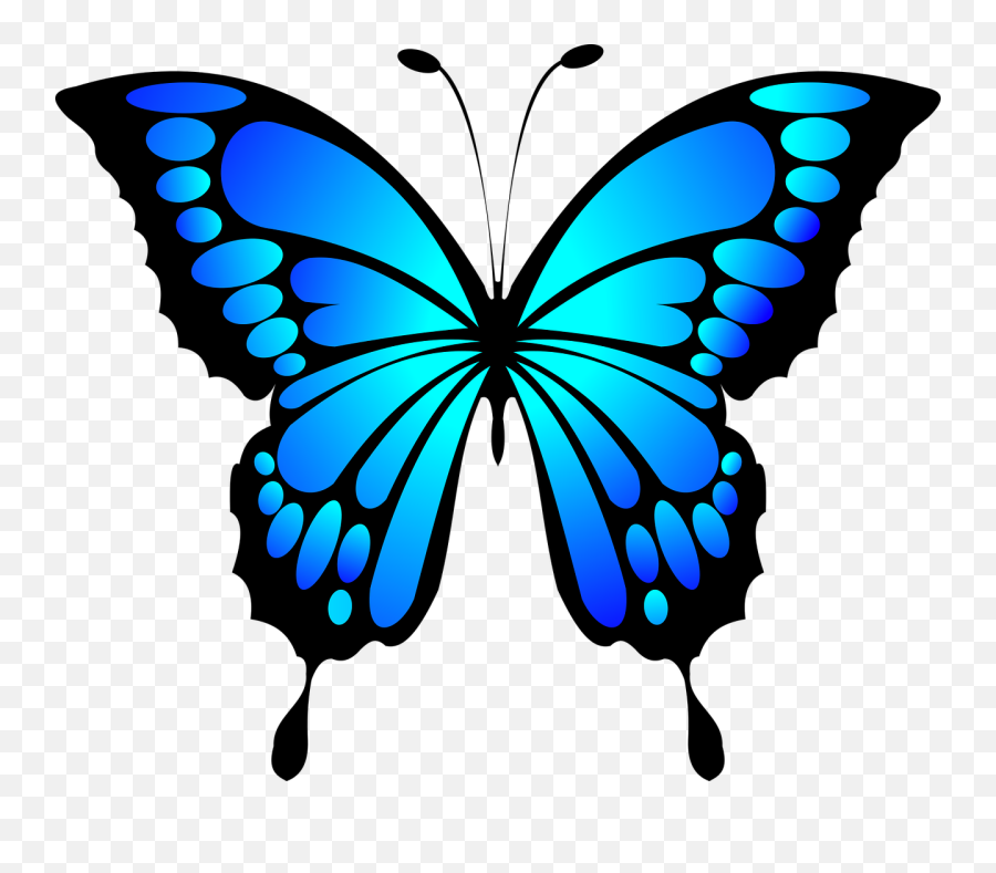 light blue butterfly clipart