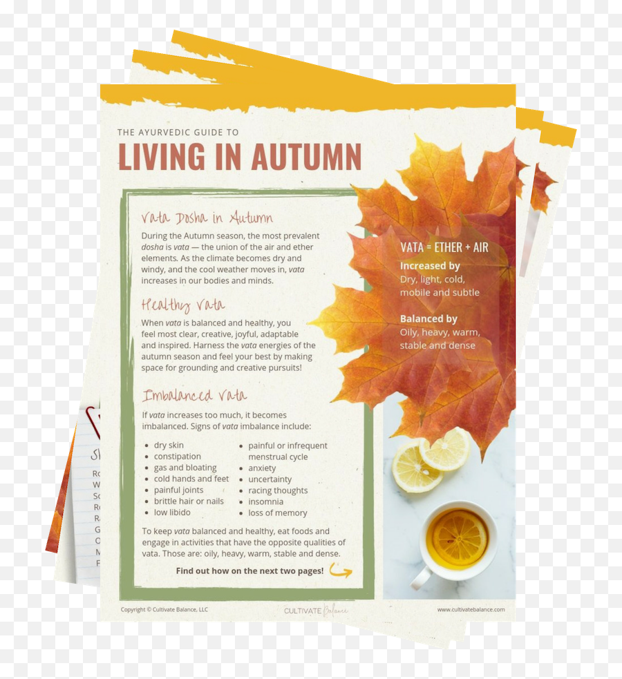 Goddess Provisions Autumn Guide U2014 Cultivate Balance - Menu Png,Cultivate Icon