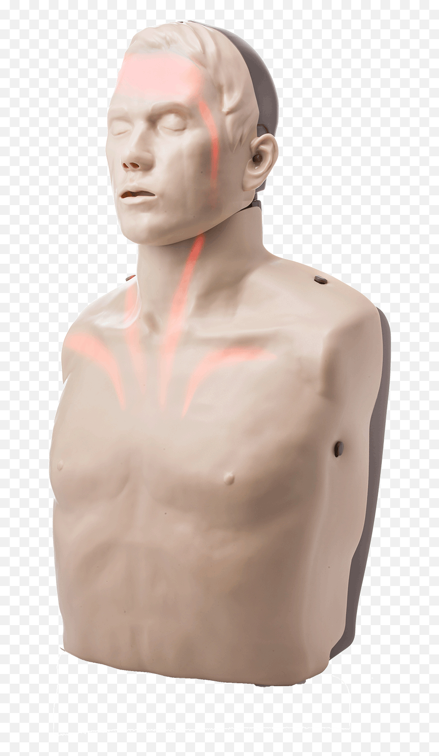 Cpr Manikin With Led Light Feedback Red Cross Store - Cpr Dummy Png,Mannequin Png