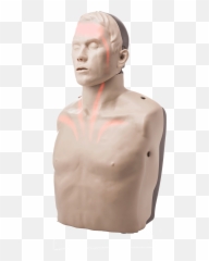 Cpr Manikin With Led Light Feedback Red Cross Store - Cpr Dummy Png,Mannequin Png